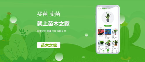  花木苗木信息网——一站式苗木交易平台--第1张