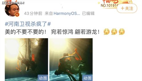  短剧四年后她带萌宝惊艳全球，四年后她带萌宝惊艳全球，重逢与成长的短剧故事--第1张