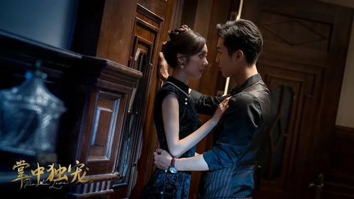  ，短剧少帅与我有情缘全集观看--第1张
