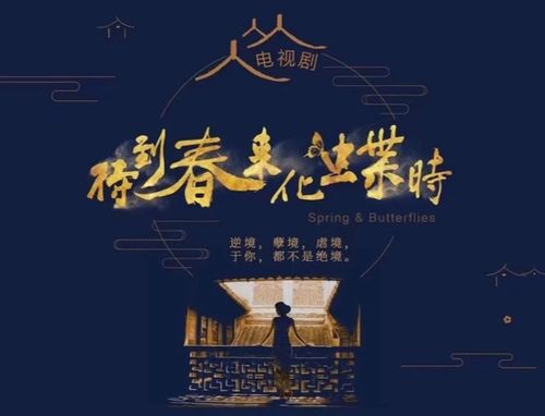  短剧了不起的萧夫人全集观看，短剧了不起的萧夫人全集在线观看，一部精彩的古装短剧--第1张