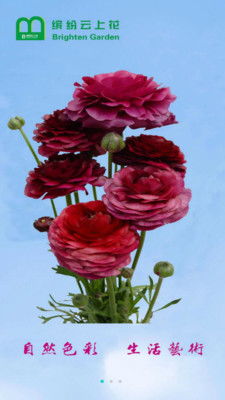 青岛订花网，一站式花卉订购平台，让您的生活更美好，青岛订花网，一站式花卉订购，让您的生活更美好花园--第1张