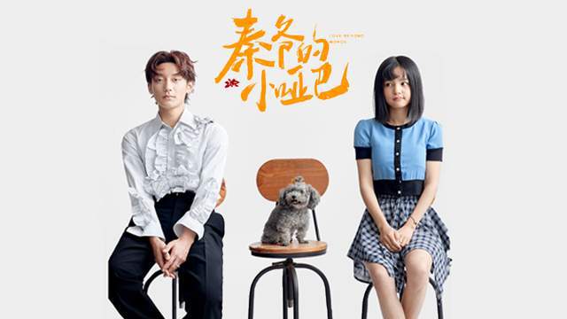  短剧龙之子全集观看--第1张
