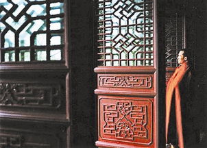  短剧贬值成了财神全集观看，你还在等什么？--第1张