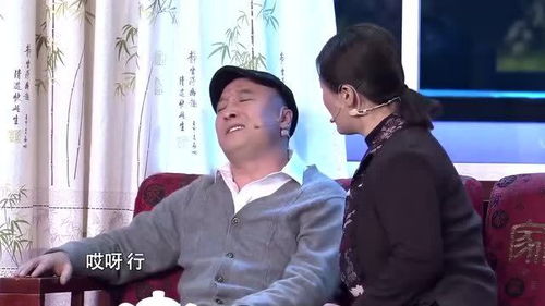  短剧张大人现在是年全集观看，张大人现在是年全集在线观看，古装短剧的趣味人生--第1张