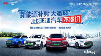 比亚迪涨价_比亚迪涨价最新消息--第1张
