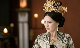  太后裙下臣短剧全集，一场宫廷权力斗争的精彩演绎--第1张