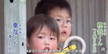  短剧萌娃替父相亲拐个妈咪嫁豪门全集观看--第1张