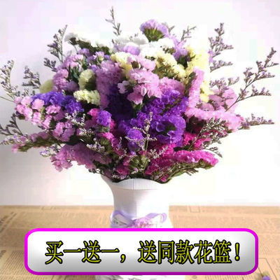  勿忘我花不能送哪些人，勿忘我花，哪些人不宜赠送--第1张