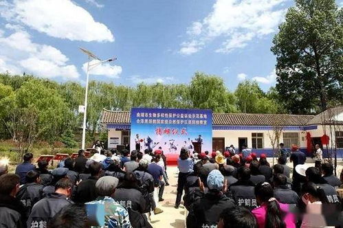  水草金鱼草图片，自然之美与生命的和谐--第1张