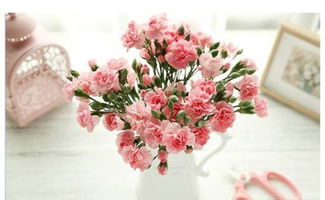  送康乃馨的意义--第1张