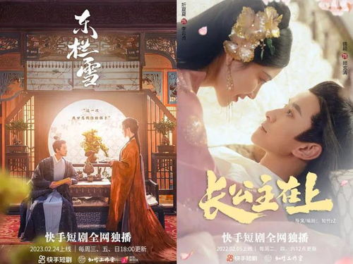  短剧红袖暗卫全集观看--第1张