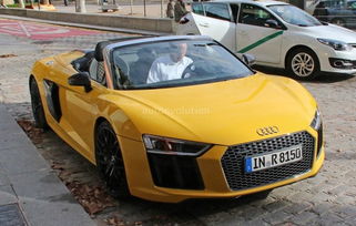 r8是什么车_r8是什么车型--第1张