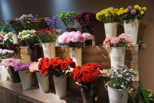  郑州花店送货上门服务——让美丽不再有距离，郑州花店提供送货上门服务，让美丽不再有距离--第1张
