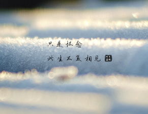  短剧叶总，来生不愿再相见全集观看，感人至深，叶总，来生不愿再相见，感人至深的短剧全集--第1张