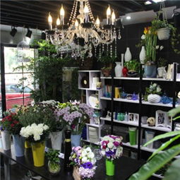  石家庄鲜花店订花，浪漫与品质的完美结合--第1张