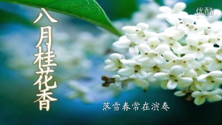 ，八月桂花香——主题曲歌词，八月桂花香，桂花盛开的季节，香气四溢的回忆--第1张