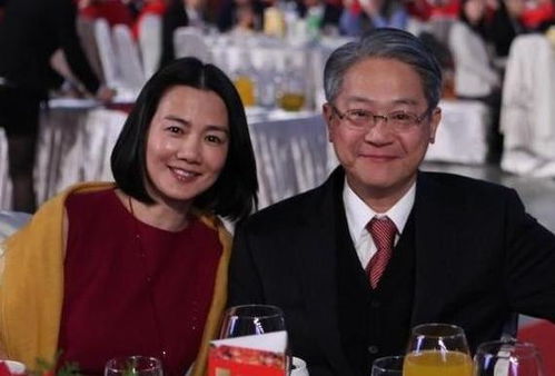  短剧离婚后三大豪门女神来提亲，天命全集观看--第1张