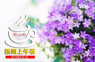  樱草花的魅力，自然之美与生命之力的交织--第1张