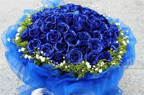  蓝玫瑰花语图片——浪漫与永恒的象征，蓝玫瑰花语图片，浪漫与永恒的象征--第1张