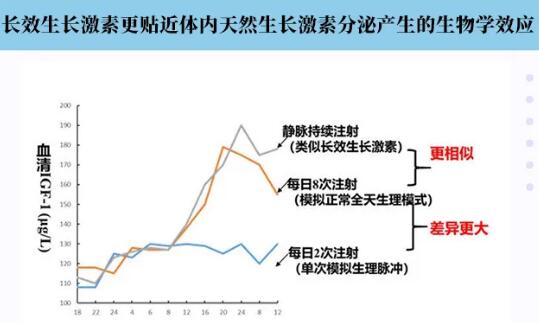  长效生长激素与短效生长激素的功效与作用，长效生长激素与短效生长激素的功效与作用对比--第1张