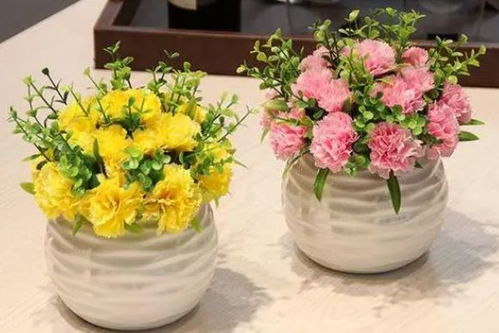 花卉品种大全--第1张