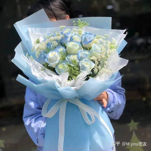  密西根碎冰蓝玫瑰寓意--第1张