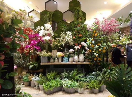  零经验的人怎样开花店--第1张