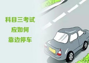 靠边停车30cm技巧图解_靠边停车30cm技巧图解 矮个子--第1张