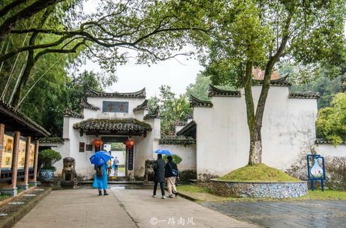  短剧镇天君王全集观看，镇天君王全集在线观看，短剧中的王者风采--第1张