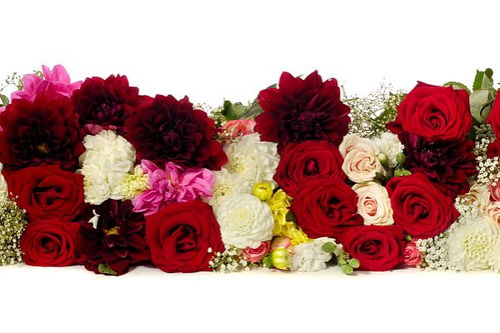  18朵粉色玫瑰花代表什么意思，18朵粉色玫瑰花代表对你的爱与日俱增--第1张
