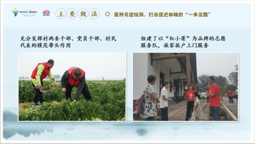  短剧以和为贵全集观看——和谐相处，共创美好未来--第1张