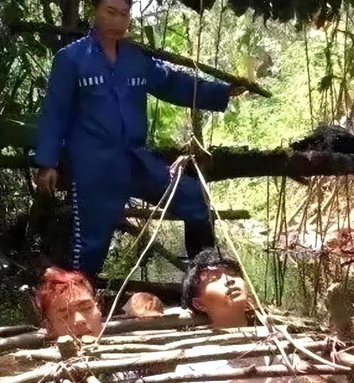 短剧我在缅北九死一生全集观看--第1张