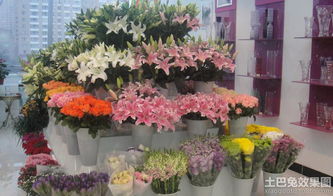  成都龙泉驿花店，精选花卉，传递美好，成都龙泉驿精选花卉传递美好花店，满足您浪漫花艺需求--第1张