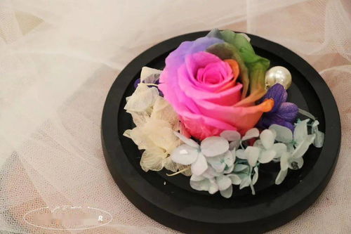  永生花的寓意与象征——永恒的爱与美丽，永生花的寓意与象征，永恒的爱与美丽--第1张