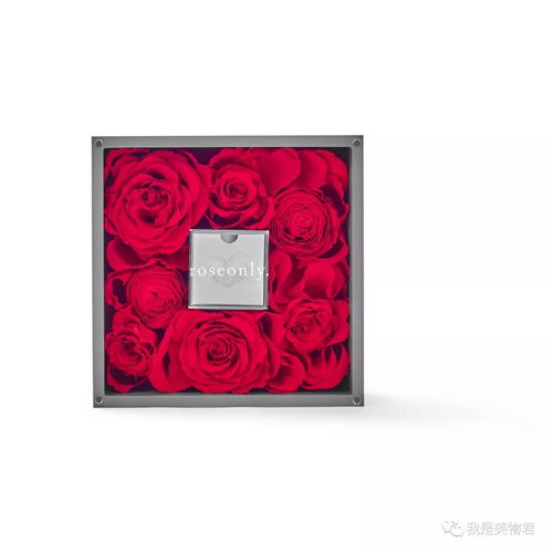  Roseonly永生花价格，揭秘美丽背后的秘密，Roseonly永生花价格背后的美丽与秘密--第1张