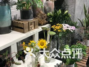  附近哪里有鲜花店？--第1张