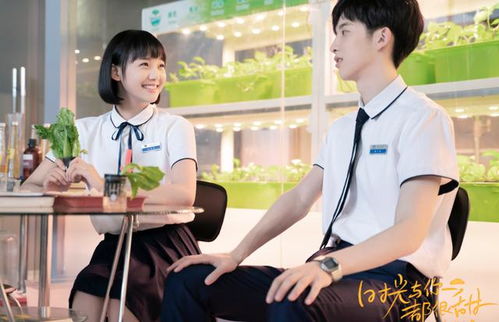  短剧实习甜妻闹翻天全集观看--第1张