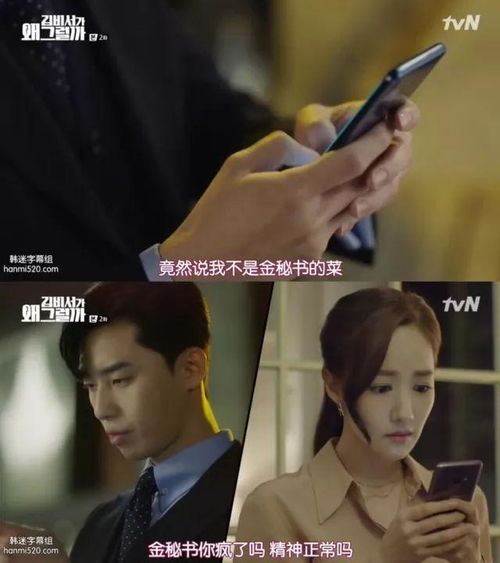  总裁闪婚秘书，为何那样？总裁跪地唱征服全集观看--第1张