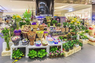  西安鲜花店数量大揭秘，西安鲜花店数量之谜--第1张