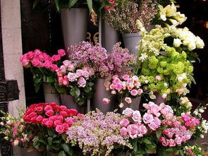 附近花店联系方式，附近花店送花联系方式--第1张
