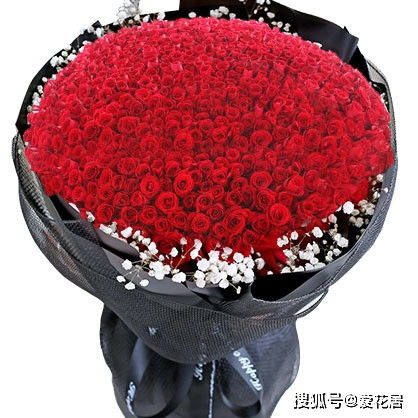  一般花店52朵玫瑰花多少钱，花店52朵玫瑰花的花费是多少？--第1张