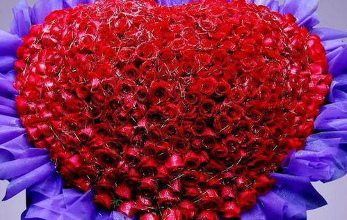  26朵玫瑰花的含义，26朵玫瑰花，爱的独特诠释--第1张