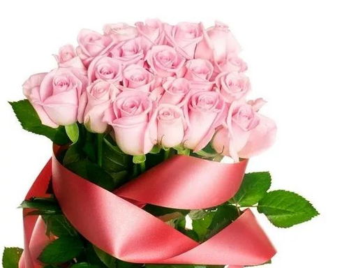  365朵玫瑰花束真实图片，一年四季的浪漫承诺，四季浪漫承诺，365朵玫瑰花束的真实图片--第1张