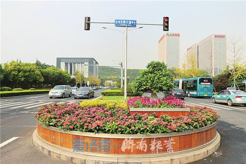  济南鲜花预定，让您的生活更加美好--第1张