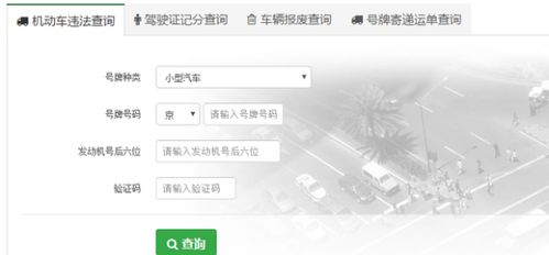 其他车辆违章查询_其他车辆违法信息查询--第1张