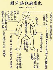  短剧鬼门十三针全集观看，鬼门十三针全集，短剧版--第1张