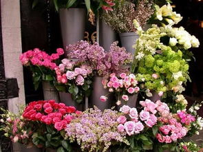  花店网上订花平台，让鲜花传递情感，跨越距离--第1张
