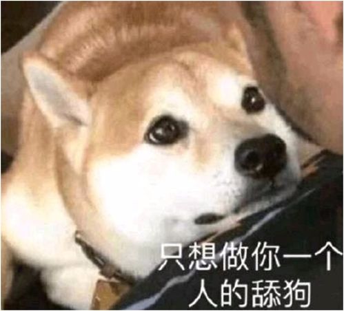 舔狗之王开局被甩成为神豪大佬全集观看--第1张