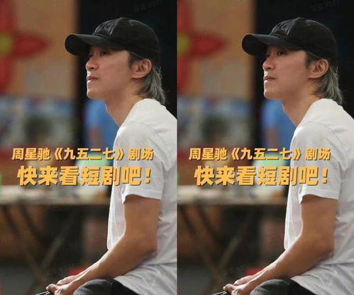 短剧代号黑龙全集观看，短剧代号黑龙全集在线观看--第1张