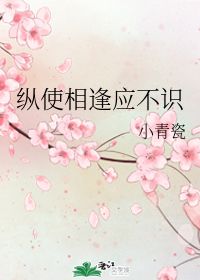  短剧纵使相逢应不识全集观看--第1张